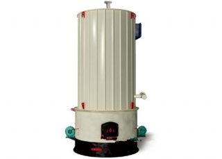 立式燃生（shēng）物質有機熱載體爐