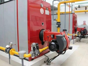 燃氣冷凝真空熱水鍋爐