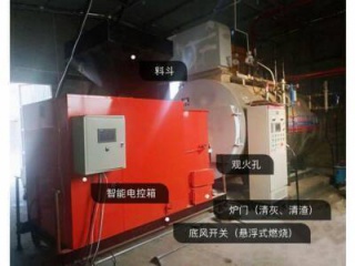甘肅燃（rán）生物質燃氣兩用蒸（zhēng）汽鍋爐
